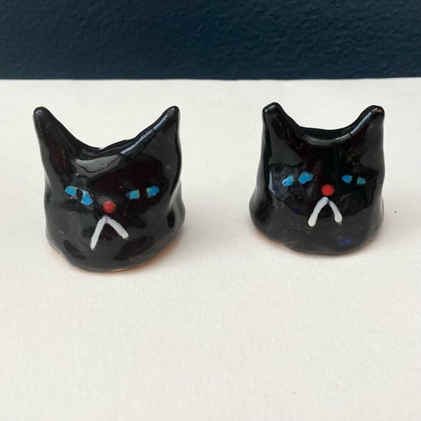 Image of Grumpy Black Cats