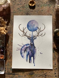 Image 1 of Cerf Indigo 