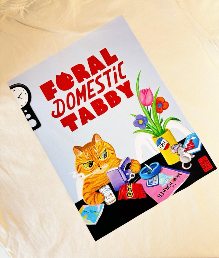 Feline Domestic Tabby Image 5