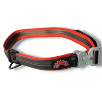 Image 3 of R-MESS'25