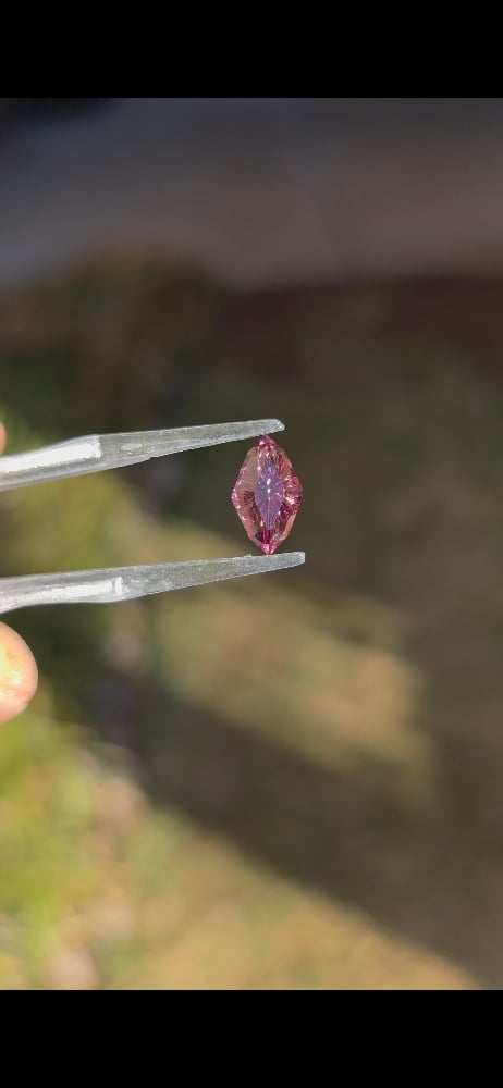 Image of Dragonfly Rose Garnet