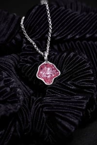 Image 1 of Metamorfosi Limited Edition Rosa
