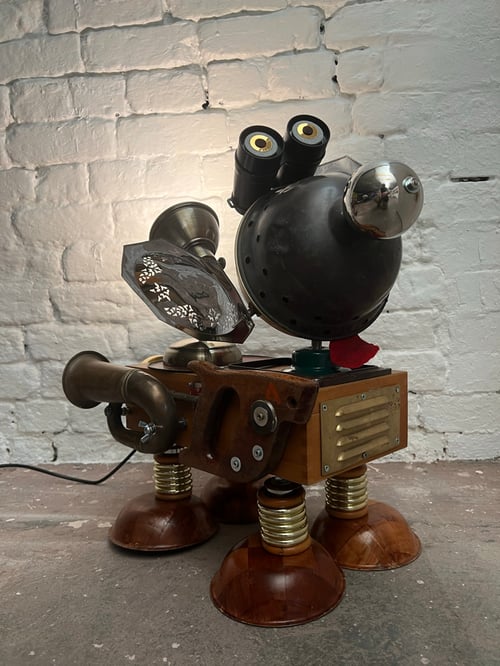 Image of Curly Bumtrumpet