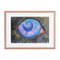Image 1 of Framed poster of Aurora's Glance