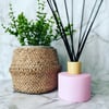 Short Urban Reed Diffuser 200ml - MATTE PINK  **ONLY 2 AVAILABLE**