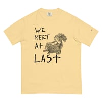 Image 7 of we meet at last skunk