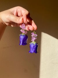 Image 4 of 💜Purple Bellflower💜 