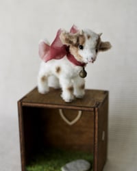 Image 2 of pipe cleaner Salt the dwarf goat