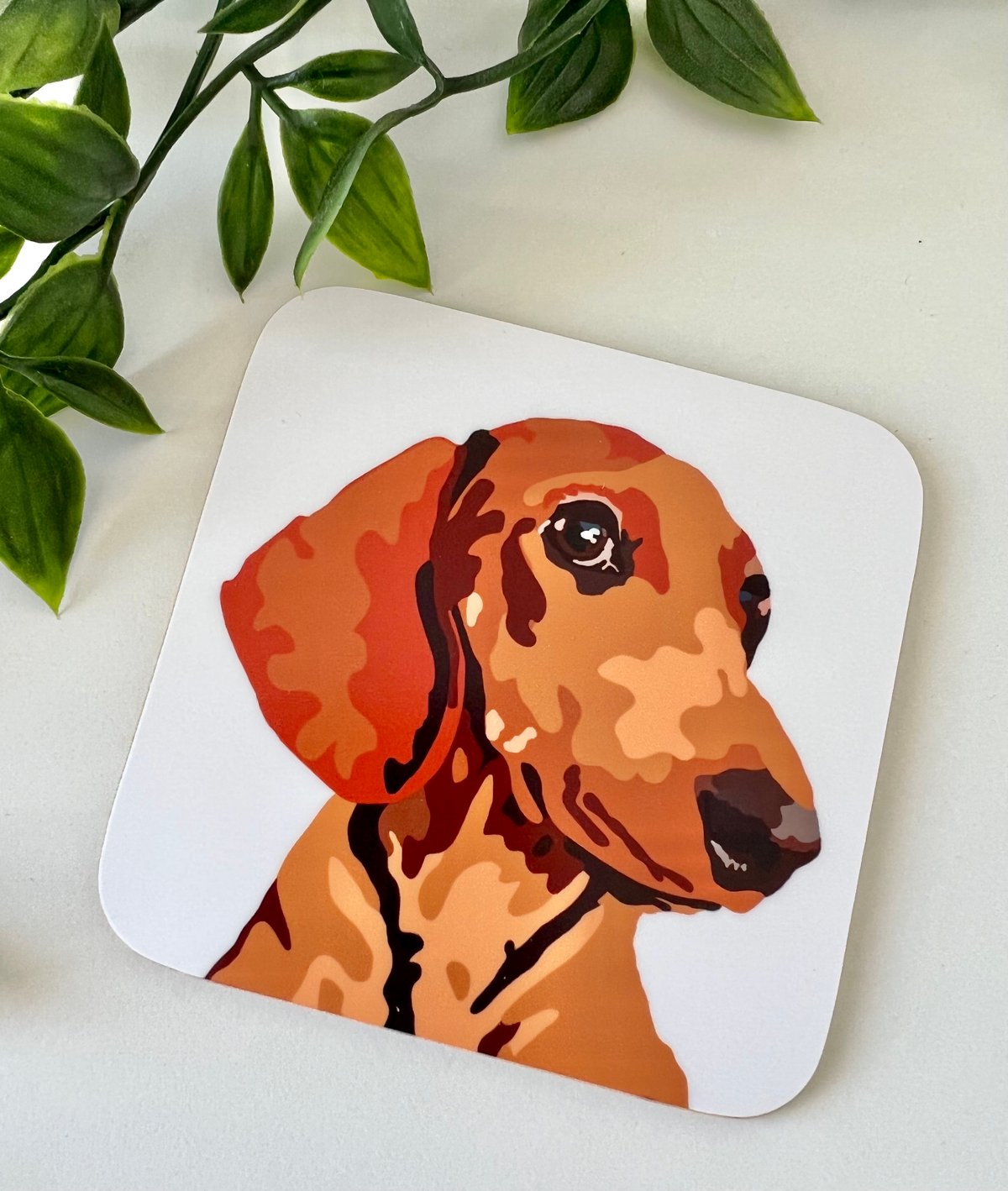Image of Dachsund coasters