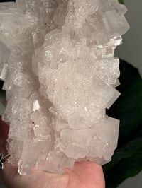Image 5 of XL WHITE HALITE -MOROCCO- A