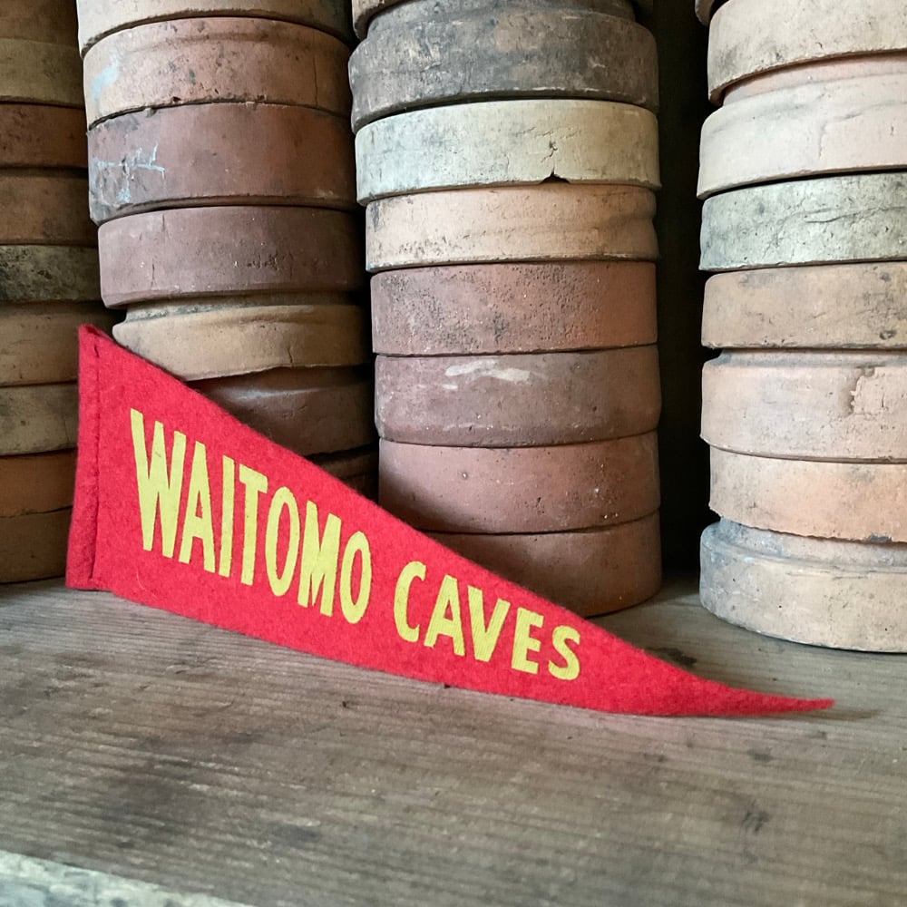 Image of Waitomo Caves