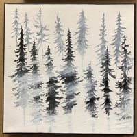 Little Spruces 