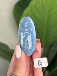 Image 7 of BLUE OPAL SHIVAS