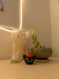 Image 3 of Susie the black cat