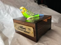 Image 5 of Custom Engraved Budgie Parakeet Handpainted To Your Photos Bird Mini Keepsake Urn Pet Portrait
