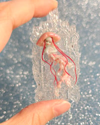 Image 3 of Anita medusina