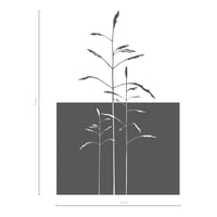 Image 2 of Fensteraufkleber Sichtschutz Gräser Christl