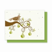 Image of Grow-A-Note® Partridge in a Pear Tree Card