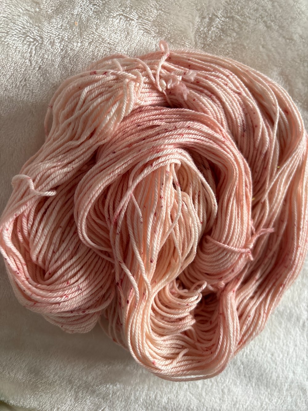 Image of pastel rose