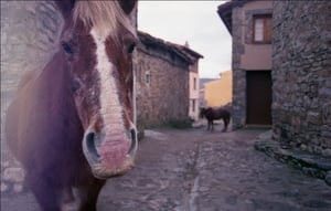 Image of Trevijano, Spain