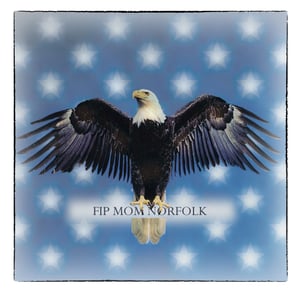 Image of Holly Lamar - Eagle | V-Neck T-Shirt