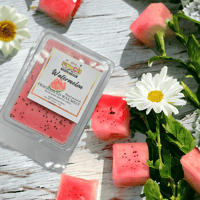 Image 1 of Watermelon Wax Melt