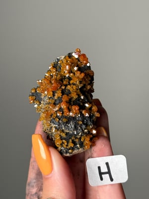 SHIMMERY HALLOWEEN VANADINITE H