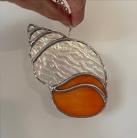 Image 1 of Seashell