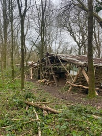Image 5 of Woodland Wellbeing Day Retreat with Emma Reed Turrell & Alice Crowe Friday 17th July 2026 10am-4pm