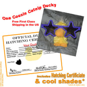 Image of Cousin Catnip Ducky