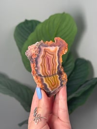 Image 1 of LAGUNA AGATE SLICE WITH PARALAX L