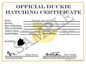 Image of Hatching Certificate
