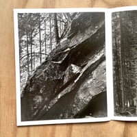 Image 7 of Awoiska van der Molen - Living Mountain 