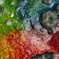 Image 2 of Rainbow Mold 