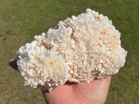 Image 1 of Aragonite On White Calcite Specimen #1243