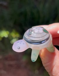 Image 1 of Fancy Turtle! 🌸🐢🌸