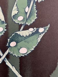 Image 3 of Razorbloom green edition 