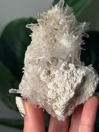 Image 3 of COLOMBIAN NEEDLE QUARTZ D