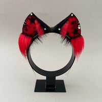 Image 1 of Red Star Kitten