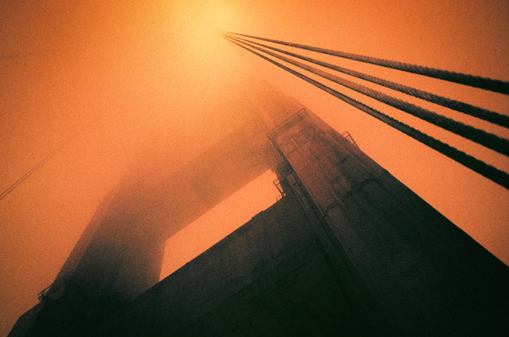 Image of 2020 "Addition To Zine" Postcard Set 