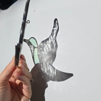 Image 4 of Textured Clear Hummingbird