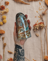Image 4 of 1lb Ocean Jasper 