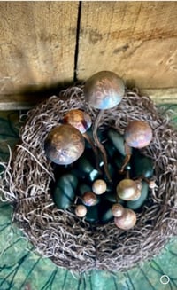 Image 1 of 🍄‍🟫 Magical Mushrooms 🍄‍🟫 