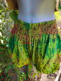 Image 6 of Bloomer shorts -yellow green - 8-14