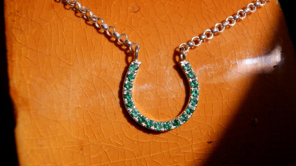 Image of Lucky Horse Shoe Necklace 