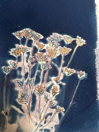 Image 4 of Garden Spells IV