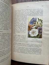 Image 15 of Le jardin d’agrément, L-J.Troncet, édition Larousse, 1908