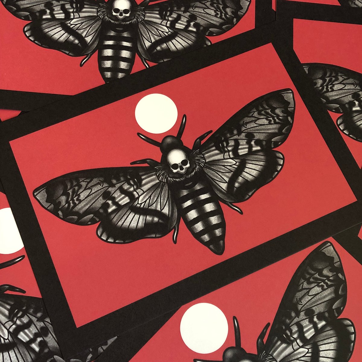 Image of Death Head Moth