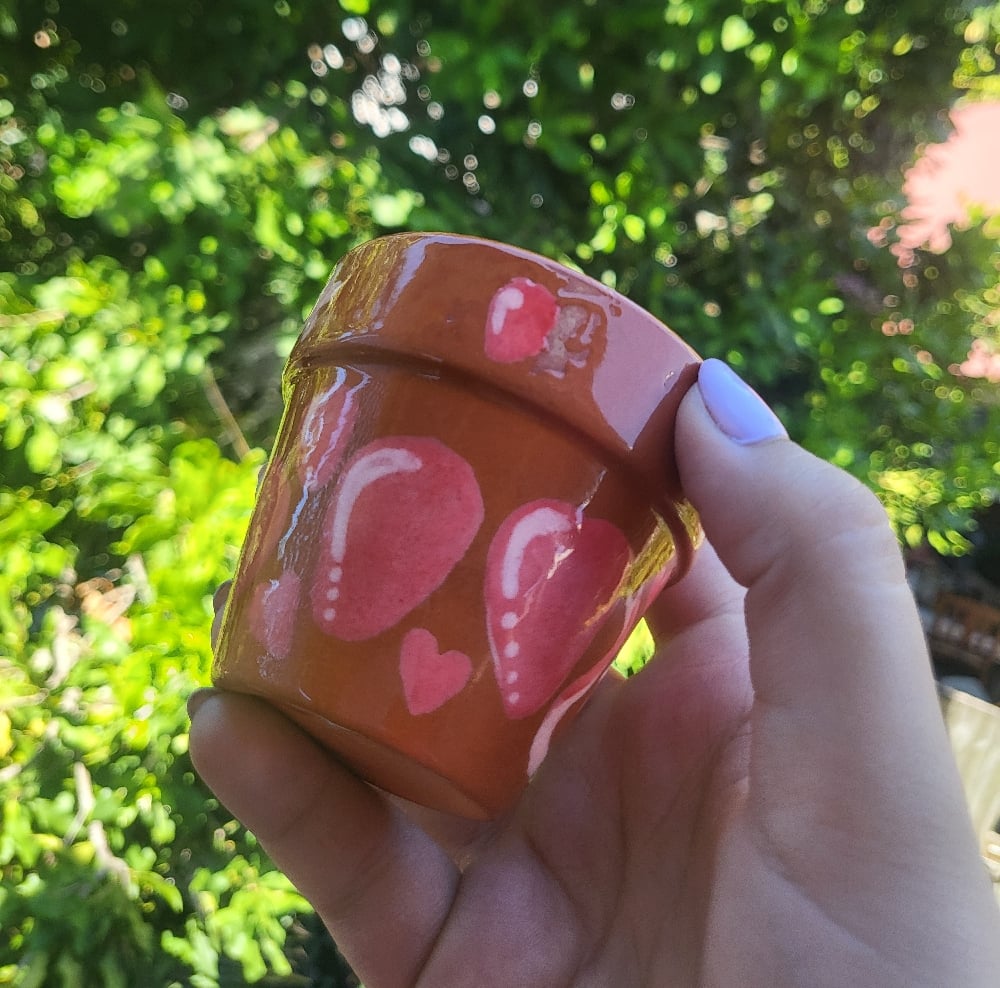 Image of Fruity terracotta pots set