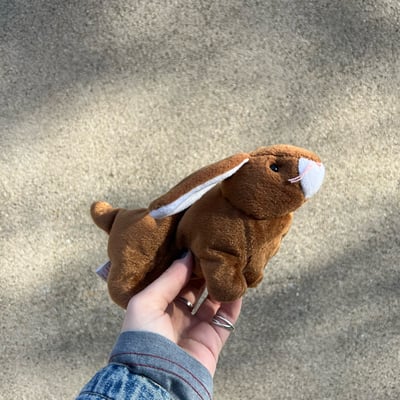 Image of Weinerabbit